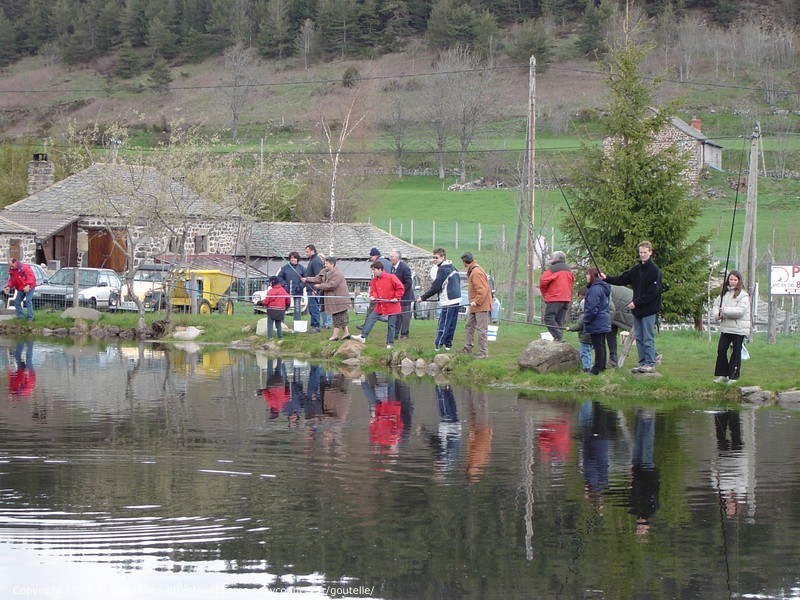 Partie de pêche à la truite