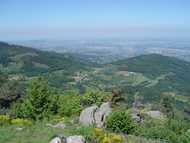 Vue sur la vallée du Rhône