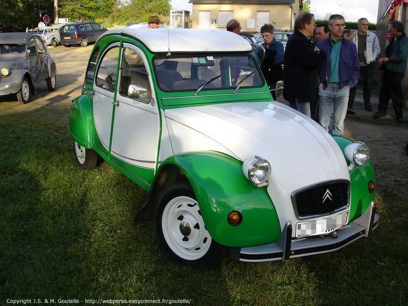 Une Charleston blanche et verte