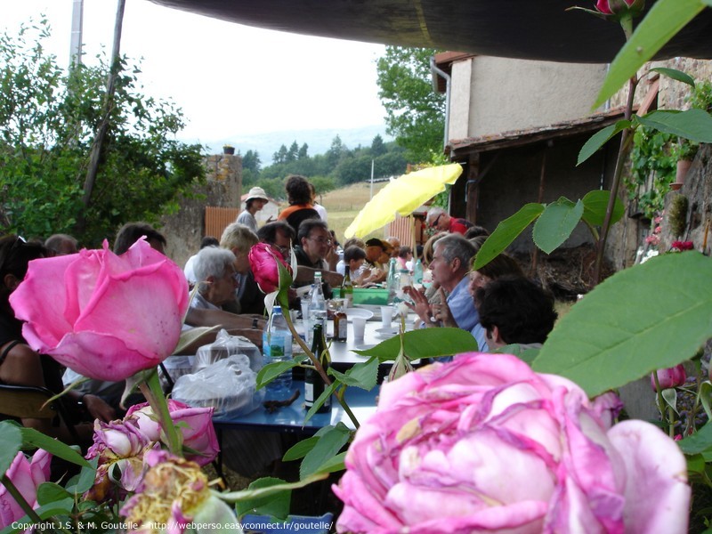Pendant le repas