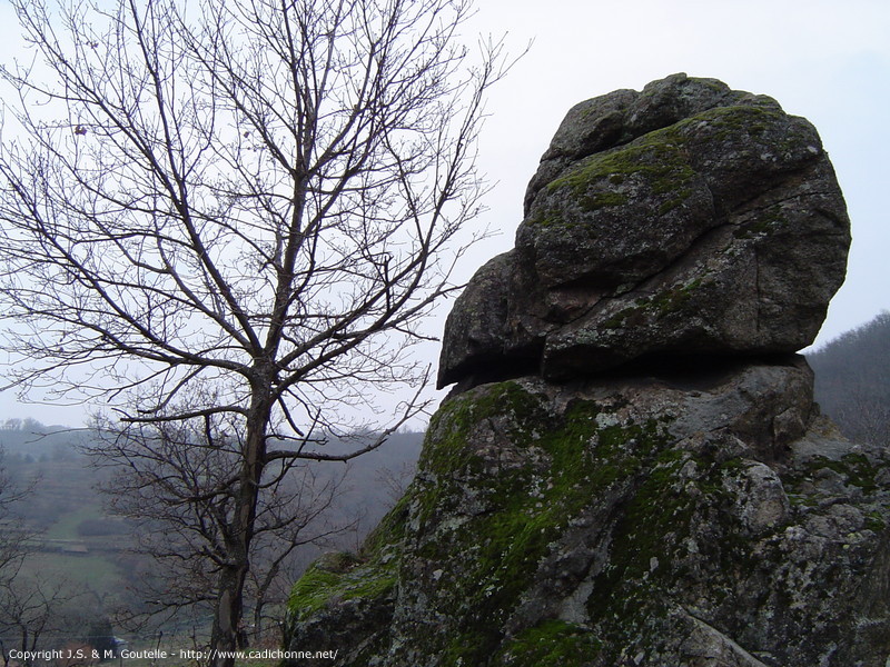 Dans les gorges de la Cance