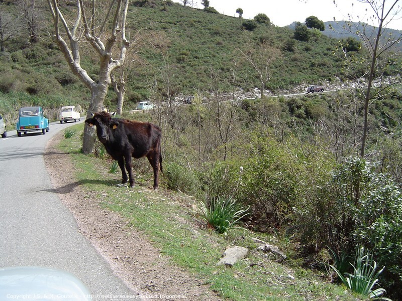 Dans la Castagniccia