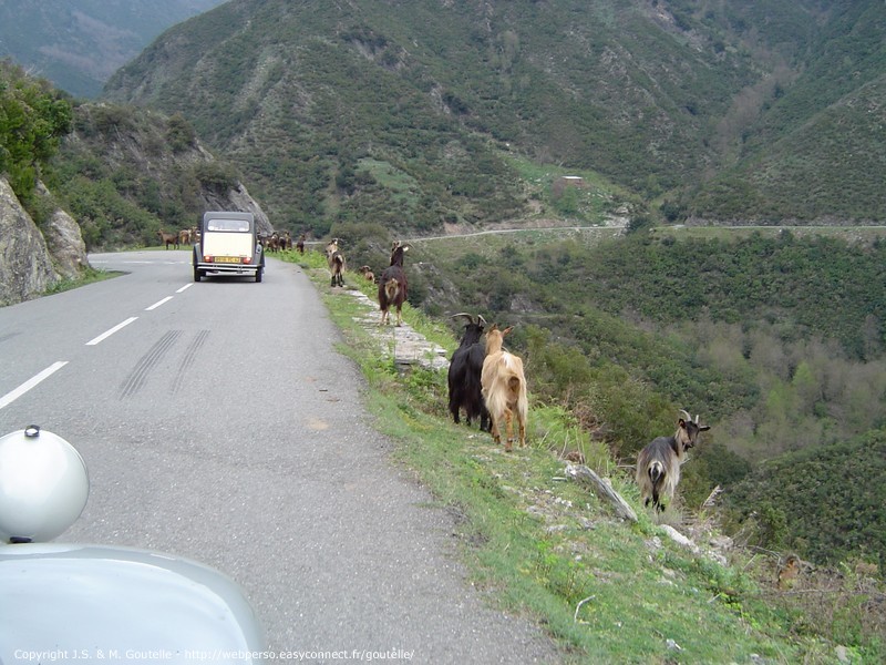 Dans le col d'Arcarota