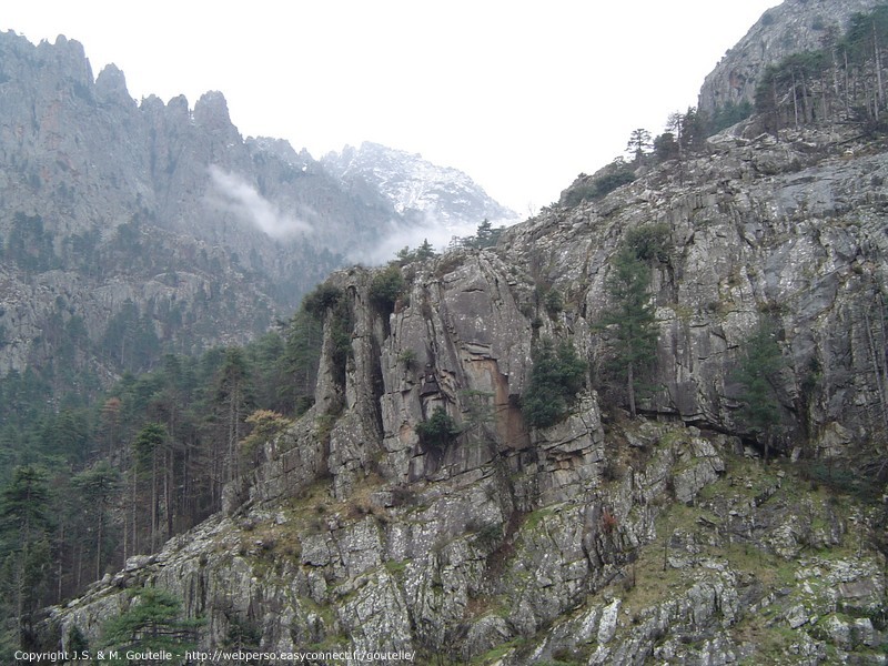 Les gorges de la Restonica