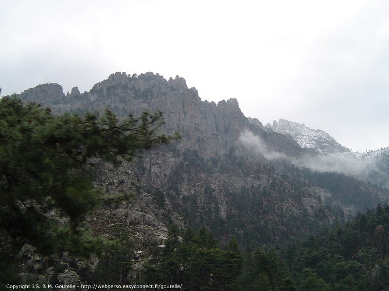 Les gorges de la Restonica