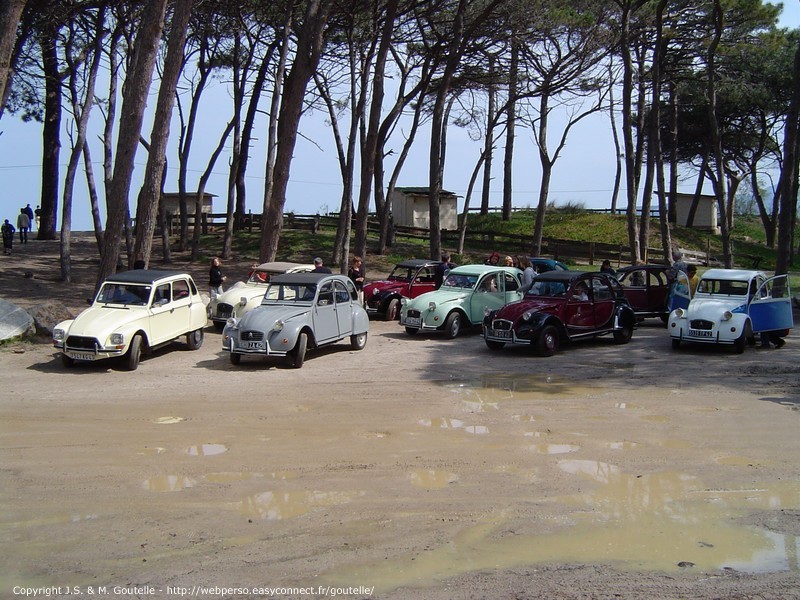 Sur la plage de Calvi