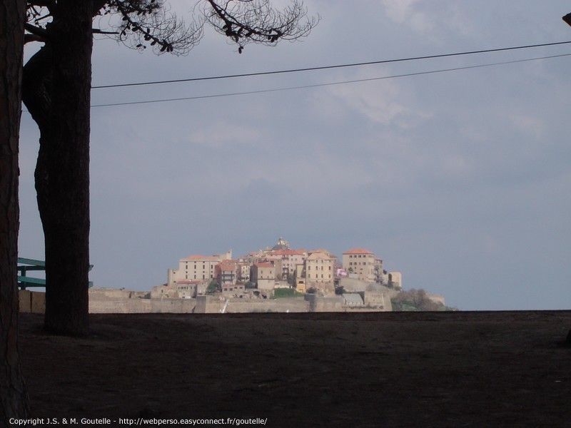 La citadelle de Calvi