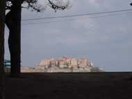 La citadelle de Calvi