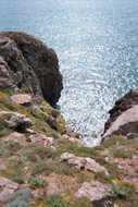 Sardaigne-077.jpg