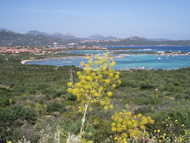 Sardaigne-132.jpg